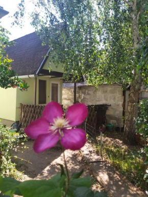 Life water small house